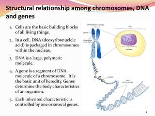 Role of biomarkers and dna fingerprinting in herbal drug ...
