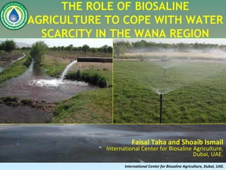 THE ROLE OF BIOSALINE
AGRICULTURE TO COPE WITH WATER
  SCARCITY IN THE WANA REGION




                       Faisal Taha and Shoaib Ismail
            International Center for Biosaline Agriculture,
                                               Dubai, UAE.
                   International Center for Biosaline Agriculture, Dubai, UAE.   
 