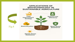 Role of biotechnology in creating sustainable agriculture(presentation ...