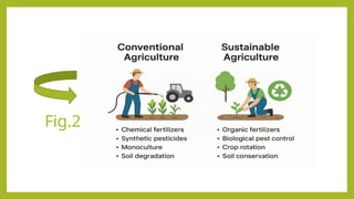 Role of biotechnology in creating sustainable agriculture(presentation ...