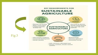 Role of biotechnology in creating sustainable agriculture(presentation ...