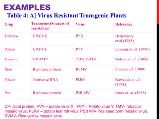 Role Of Biotechnology In Crop Improvement.pptx