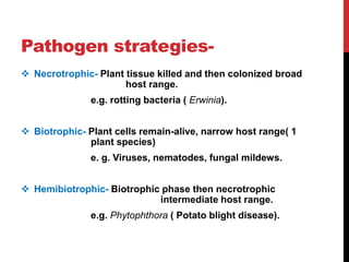 Role Of Biotechnology In Crop Improvement.pptx