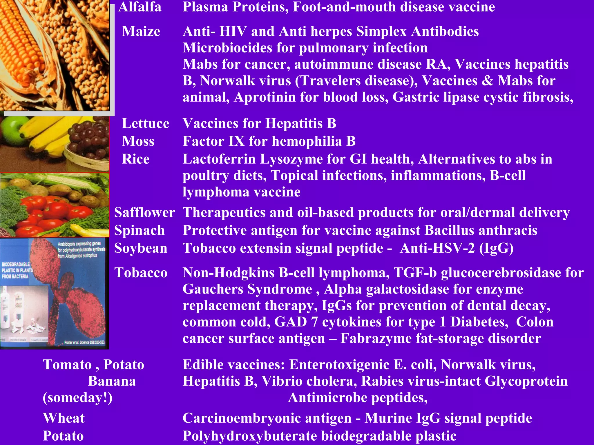 Role of biotechnology - gene silencing in plant disease control | PPT