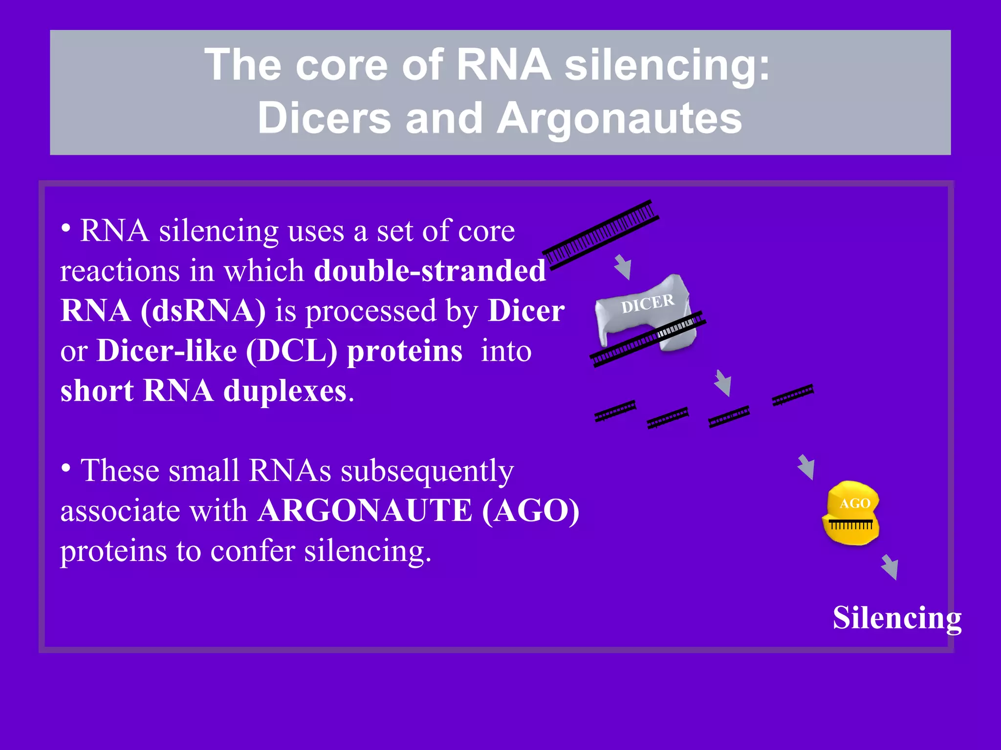 Role of biotechnology - gene silencing in plant disease control | PPT
