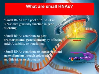 Role of biotechnology - gene silencing in plant disease control | PPT