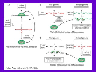 Role of biotechnology - gene silencing in plant disease control | PPT