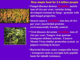 Role of biotechnology - gene silencing in plant disease control | PPT