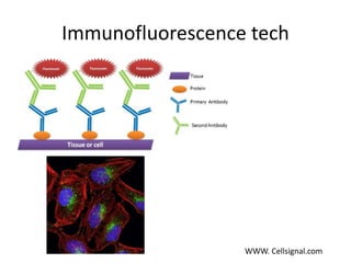Role of biotechnology in the management of disease | PPTX