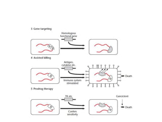 Role of biotechnology in the management of disease | PPTX