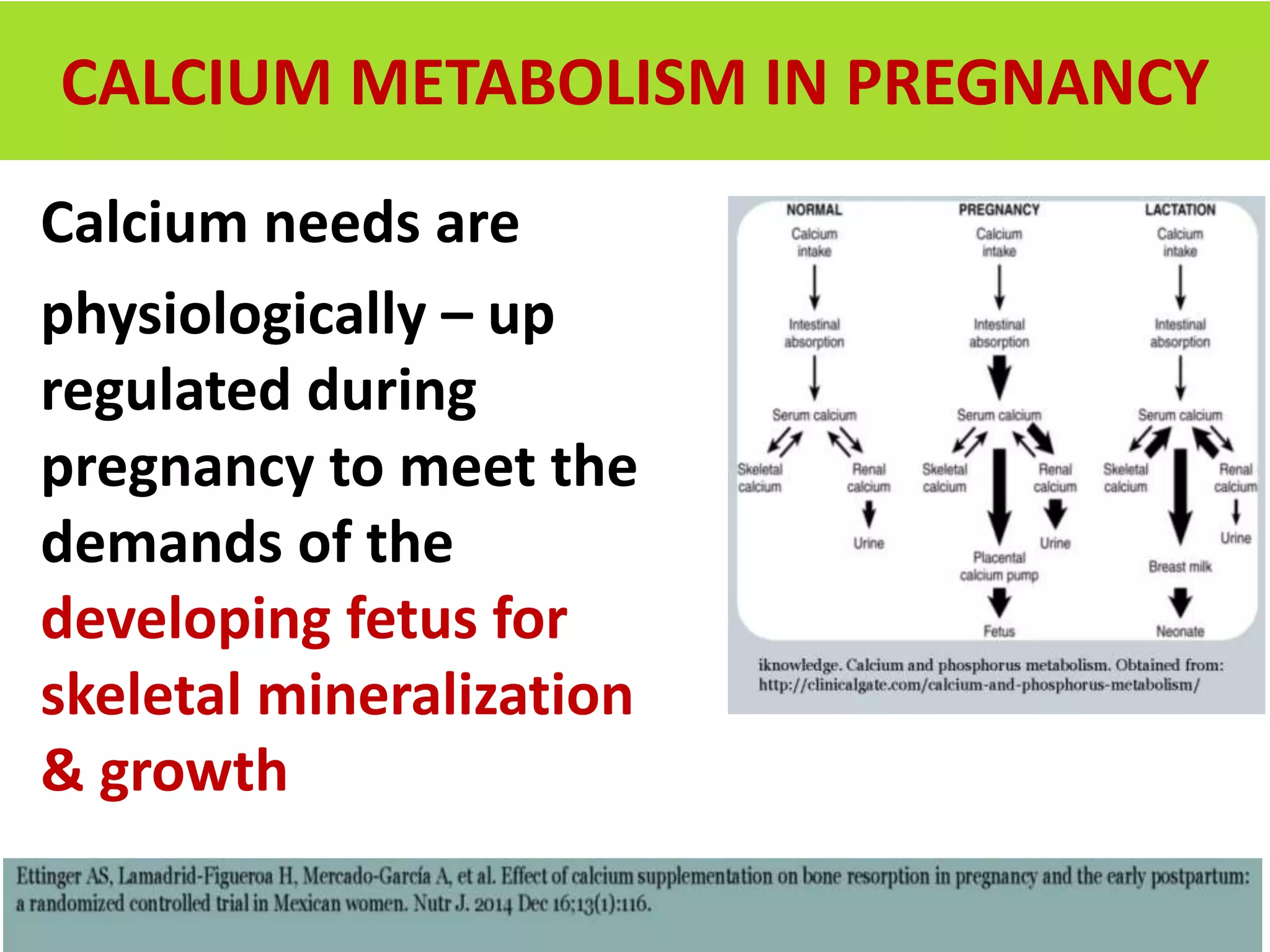 Role of Calcium in pregnancy DR. SHARDA JAIN Dr. Jyoti Agarwal Dr ...