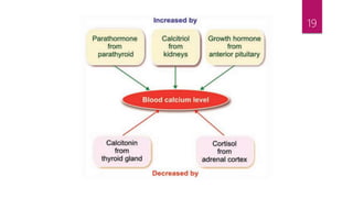 calcium and oral health