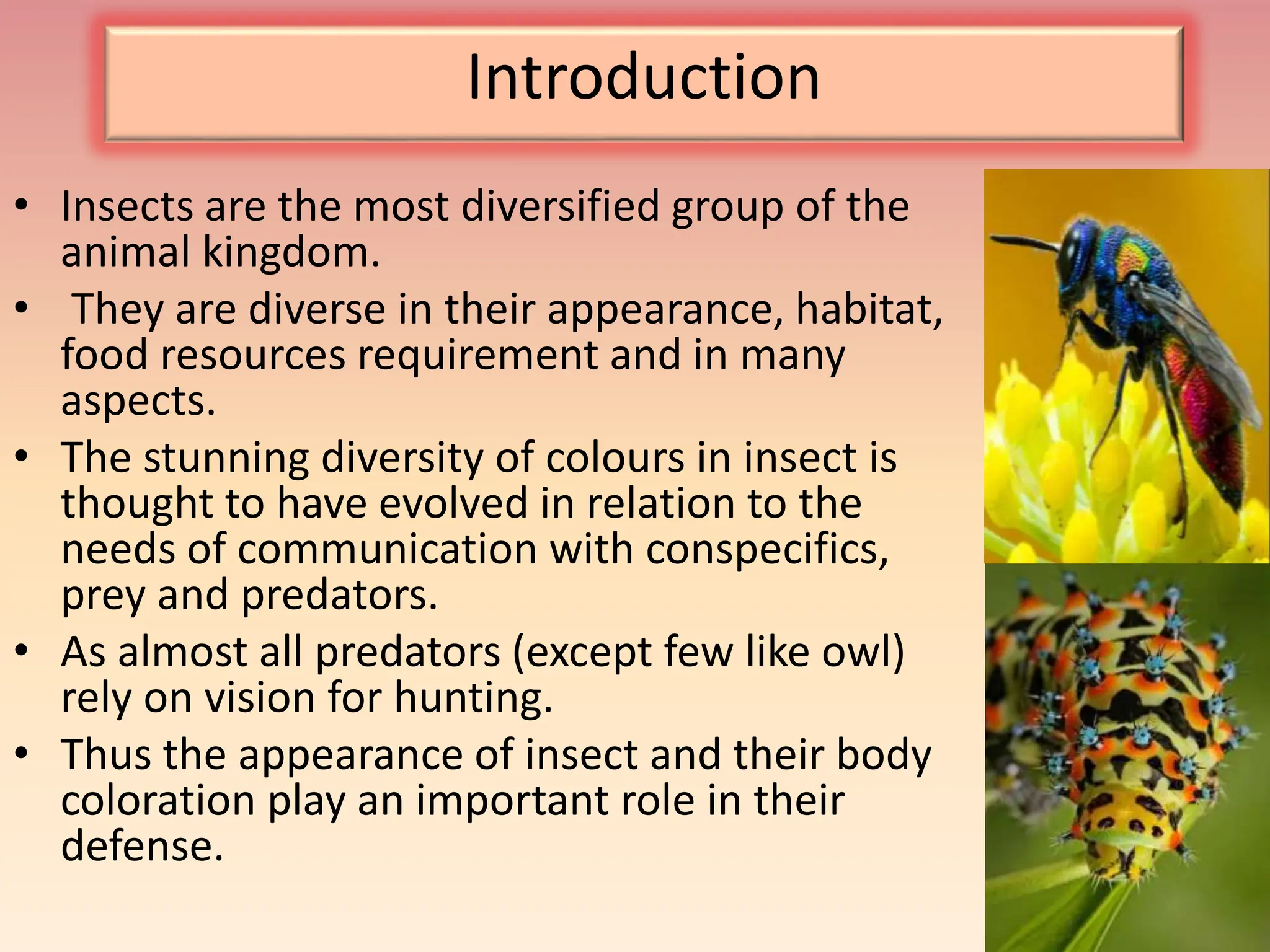 Role of Camouflage, mimicry and warning colours in insect defence.pptx