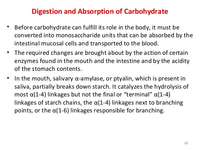 How do carbohydrates help the human body?