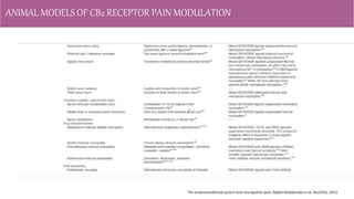 Role of CB2 Receptors In Pain and Inflammation.pptx