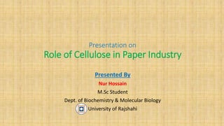 Presentation on
Role of Cellulose in Paper Industry
Presented By
Nur Hossain
M.Sc Student
Dept. of Biochemistry & Molecular Biology
University of Rajshahi
 