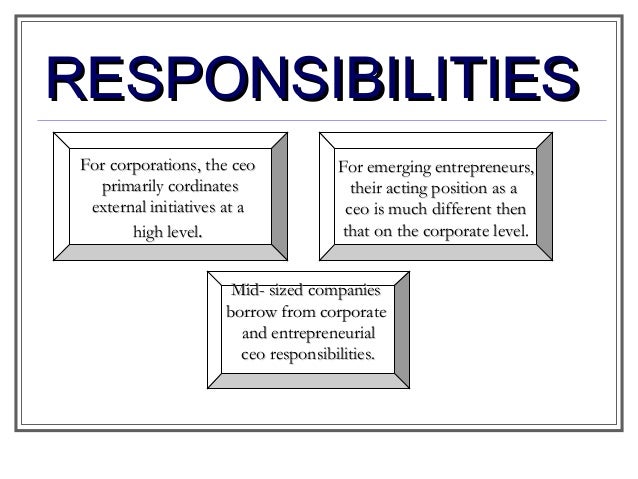 role of ceo deputy ceo roles and responsibilities