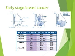 Role of chemotherapy in early stage breast cancer | PPTX