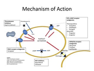 Role of Clopidogrel in Minor Stroke and Transient Ischaemic Attack.pptx