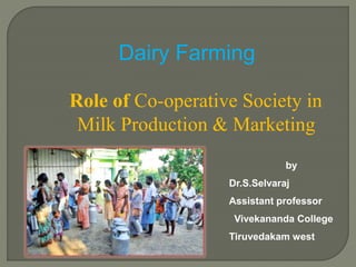 Dairy Farming
by
Dr.S.Selvaraj
Assistant professor
Vivekananda College
Tiruvedakam west
Role of Co-operative Society in
Milk Production & Marketing
 
