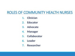 Role of Community Health Nurse.pptx in Healthcare | PPTX