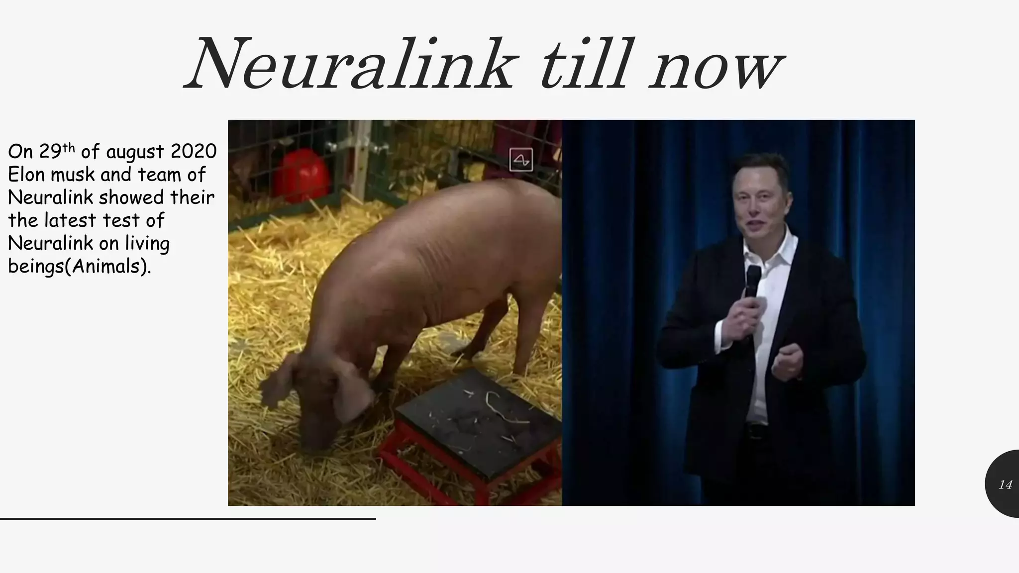 Neuralink till now
14
On 29th of august 2020
Elon musk and team of
Neuralink showed their
the latest test of
Neuralink on living
beings(Animals).
 