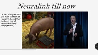 Neuralink till now
14
On 29th of august 2020
Elon musk and team of
Neuralink showed their
the latest test of
Neuralink on living
beings(Animals).
 
