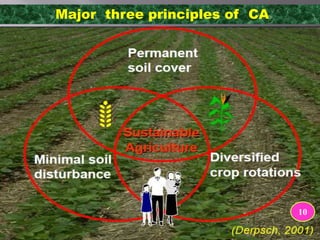 Major three principles of CA
10
 