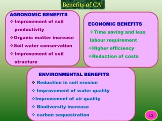 AGRONOMIC BENEFITS
ECONOMIC BENEFITS
Time saving and less
labour requirement
Higher efficiency
Reduction of costs
ENVIRONMENTAL BENEFITS
 Reduction in soil erosion
 Improvement of water quality
Improvement of air quality
 Biodiversity increase
 carbon sequestration
Benefits of CA
 Improvement of soil
productivity
Organic matter increase
Soil water conservation
 Improvement of soil
structure
12
 