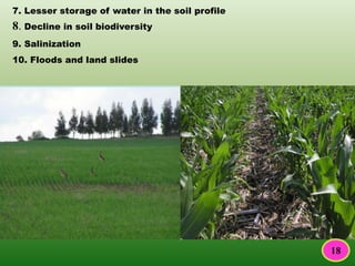 8. Decline in soil biodiversity
9. Salinization
10. Floods and land slides
7. Lesser storage of water in the soil profile
18
 