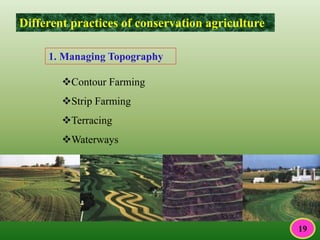 Different practices of conservation agriculture
1. Managing Topography
Contour Farming
Strip Farming
Terracing
Waterways
19
 