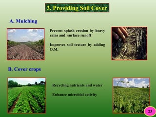 3. Providing Soil Cover
A. Mulching
Prevent splash erosion by heavy
rains and surface runoff
Improves soil texture by adding
O.M.
B. Cover crops
Recycling nutrients and water
Enhance microbial activity
23
 