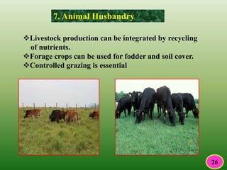 7. Animal Husbandry
Livestock production can be integrated by recycling
of nutrients.
Forage crops can be used for fodder and soil cover.
Controlled grazing is essential
26
 
