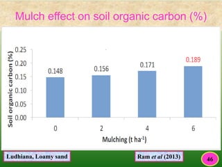 Mulch effect on soil organic carbon (%)
Ram et al (2013)Ludhiana, Loamy sand 46
 