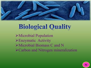 Microbial Population
Enzymatic Activity
Microbial Biomass C and N
Carbon and Nitrogen mineralization
51
 