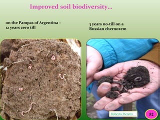 52
on the Pampas of Argentina –
12 years zero till
Roberto Pieretti
3 years no-till on a
Russian chernozem
Improved soil biodiversity…
52
 