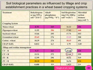 Treatment Dehydrogena
se (µg TPF g
soil -1 24 h-1)
Alkali-
phosphatase
(µg PNPg -1 h-1)
Soil Respiration
(mg CO2 1000 g
soil-1 week-1)
Microbial
carbon
biomass
(µg g soil -1)
Cropping System
Maize-wheat 8.78 269 16.22 456
Pigeonpea-wheat 11.95 296 17.82 668
Soybean-wheat 15.66 295 17.71 553
Groundnut-wheat 25.43 276 15.23 508
Cotton –wheat 10.39 274 18.15 491
CD (P=0.05) 0.812 6.2 1.79 3.05
Tillage and residue management
CT – R 9.37 263 19.40 428
CT + R 15.31 272 13.64 559
ZT - R 12.99 296 18.52 519
ZT + R 20.10 298 16.54 634
CD (P=0.05) 0.688 5.9 1.023 2.9
Soil biological parameters as influenced by tillage and crop
establishment practices in a wheat based cropping systems
53Singh et al., 2011
 