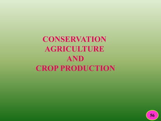 CONSERVATION
AGRICULTURE
AND
CROP PRODUCTION
56
 