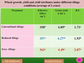 Wheat growth, yield and yield attributes under different tillage
conditions (average of 3 years)
U.P., Sandy loam Kumar et al (2013) 57
 