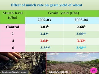 Effect of mulch rate on grain yield of wheat
Iqbal et al (2011)Pakistan, Sandy Loam
59
 