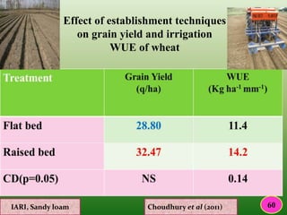 Effect of establishment techniques
on grain yield and irrigation
WUE of wheat
IARI, Sandy loam Choudhury et al (2011) 60
 