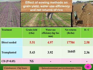 Effect of sowing methods on
grain yield, water use efficiency
and net returns of rice
Balasubramanian and Krishnarajan (2000)Coimbatore, Clay loam
61
 
