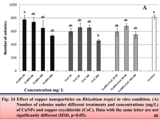 Role of Copper and Zinc Nanoparticles in Plant Disease Management | PDF