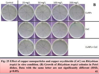 Role of Copper and Zinc Nanoparticles in Plant Disease Management | PDF