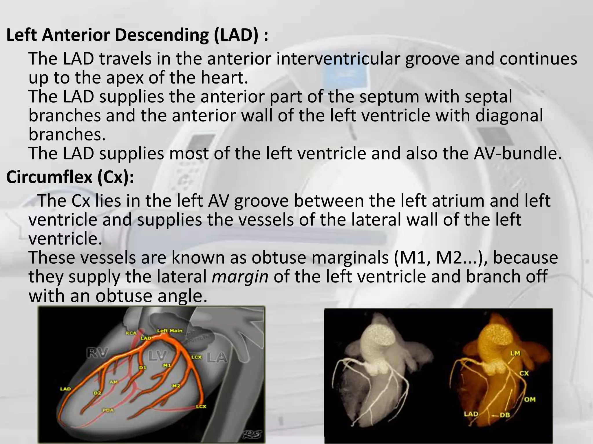 Role of ct angiography in diagnosis of coronary anomalies | PPT | Free ...