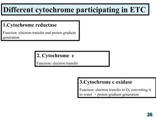 Role of cytochromes.pptx