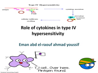 Role of cytokines in type IV
hypersensitivity
Eman abd el-raouf ahmad youssif

 