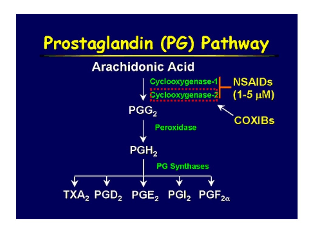 actio. of prostaglandins actio. of prostaglandins