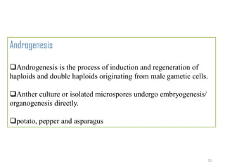 Role of double haploids in vegetable crop improvement | PDF