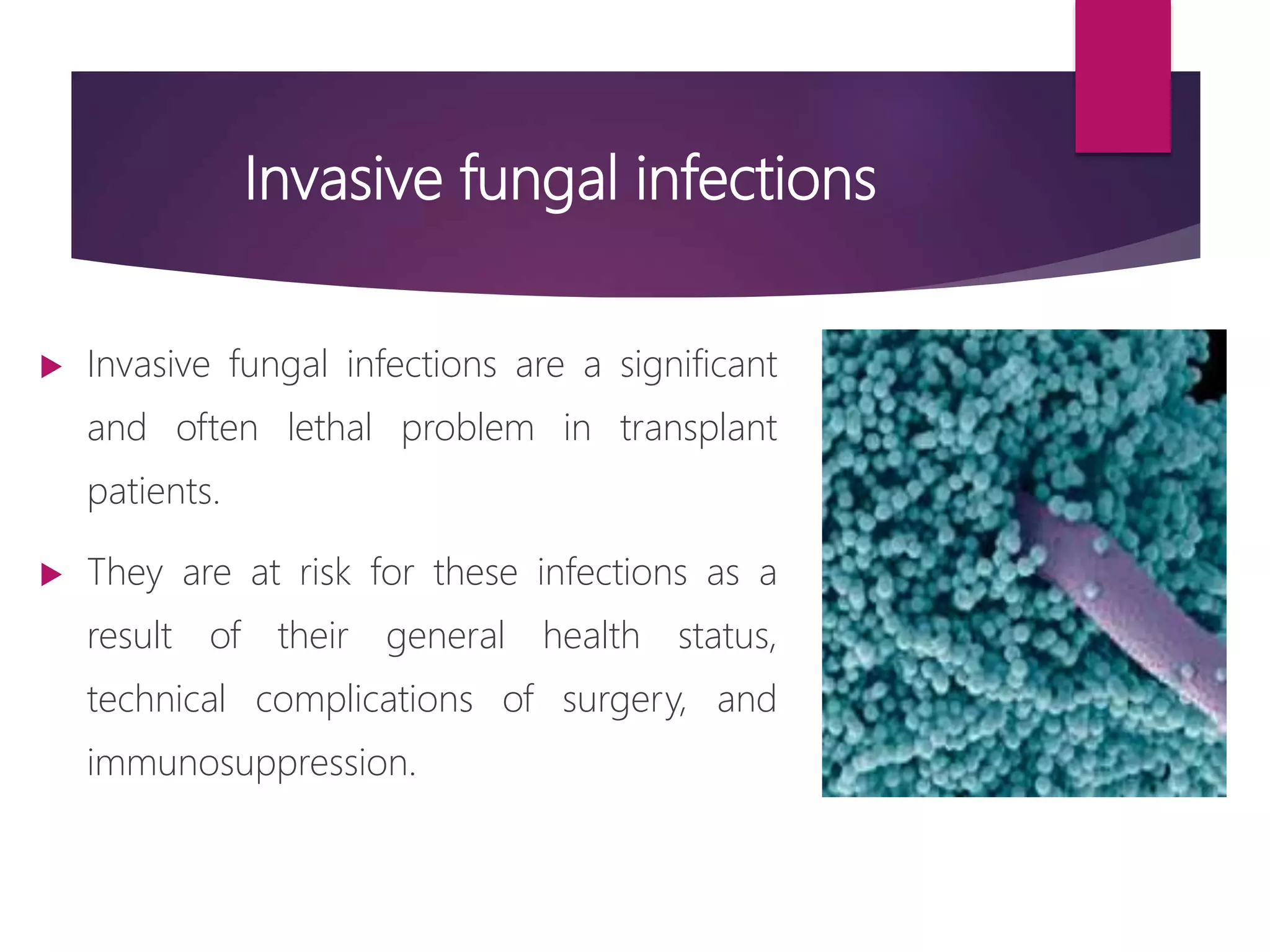 Role of echinocandins in invasive fungal infection | PPTX